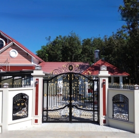 Mẫu cổng sắt mỹ nghệ 14